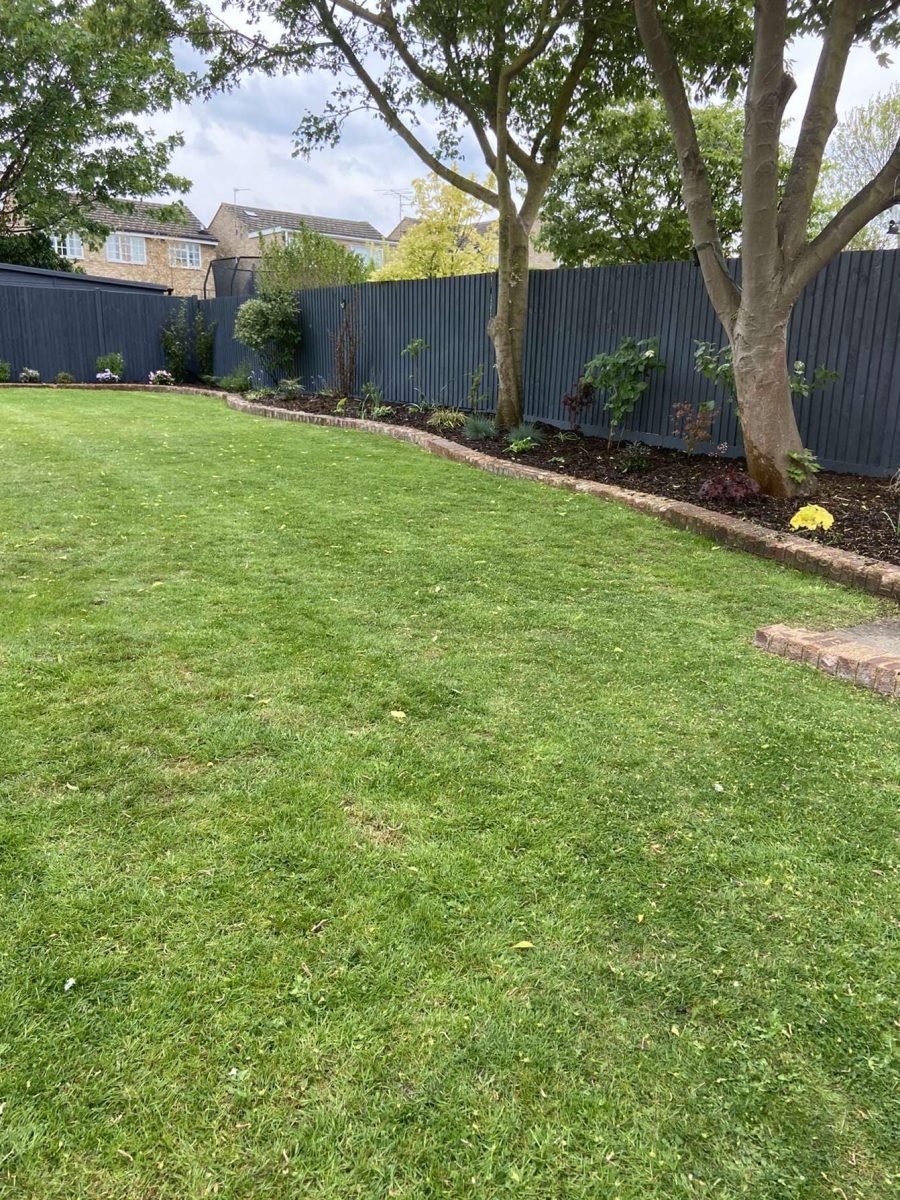 471502718_569129095744857_3133625357236199158_n